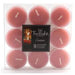 Clear Cup Colored Tea Lights - 9 pcs - Britannia Kitchen & Home Calgary