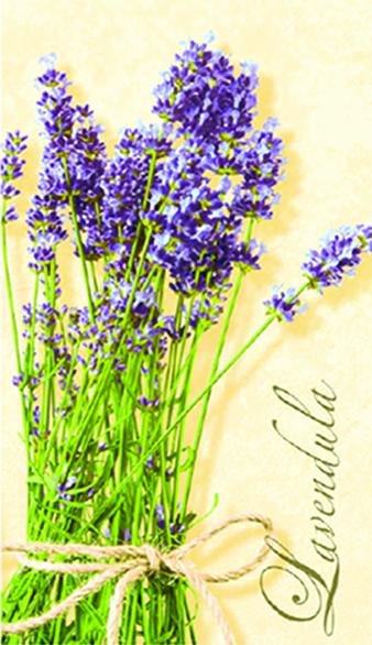 Lavendula Creme Guest Napkins