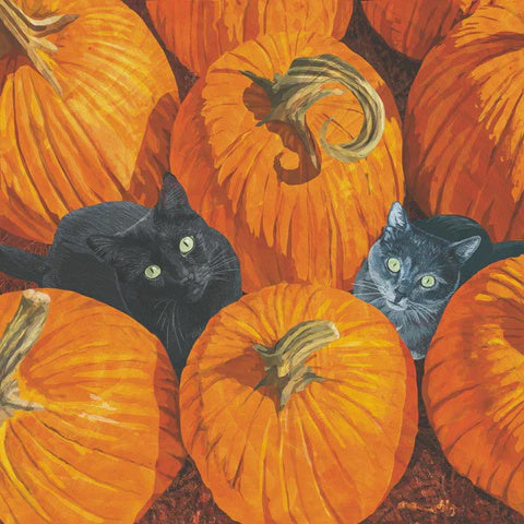 Cocktail Paper Napkins — Soft 3-Ply, Pack of 20 – Pumpkin Patch Cats