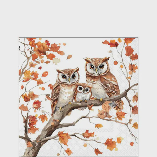 Ambiente Cocktail Paper Napkins — Soft 3-Ply, Pack of 20 – Family Of Owls
