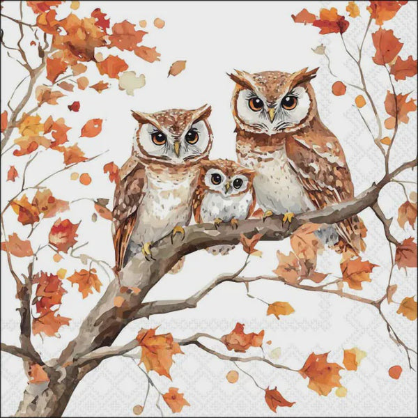 Ambiente Luncheon Paper Napkins Soft 3-Ply, Pack of 20 - Family Of Owls