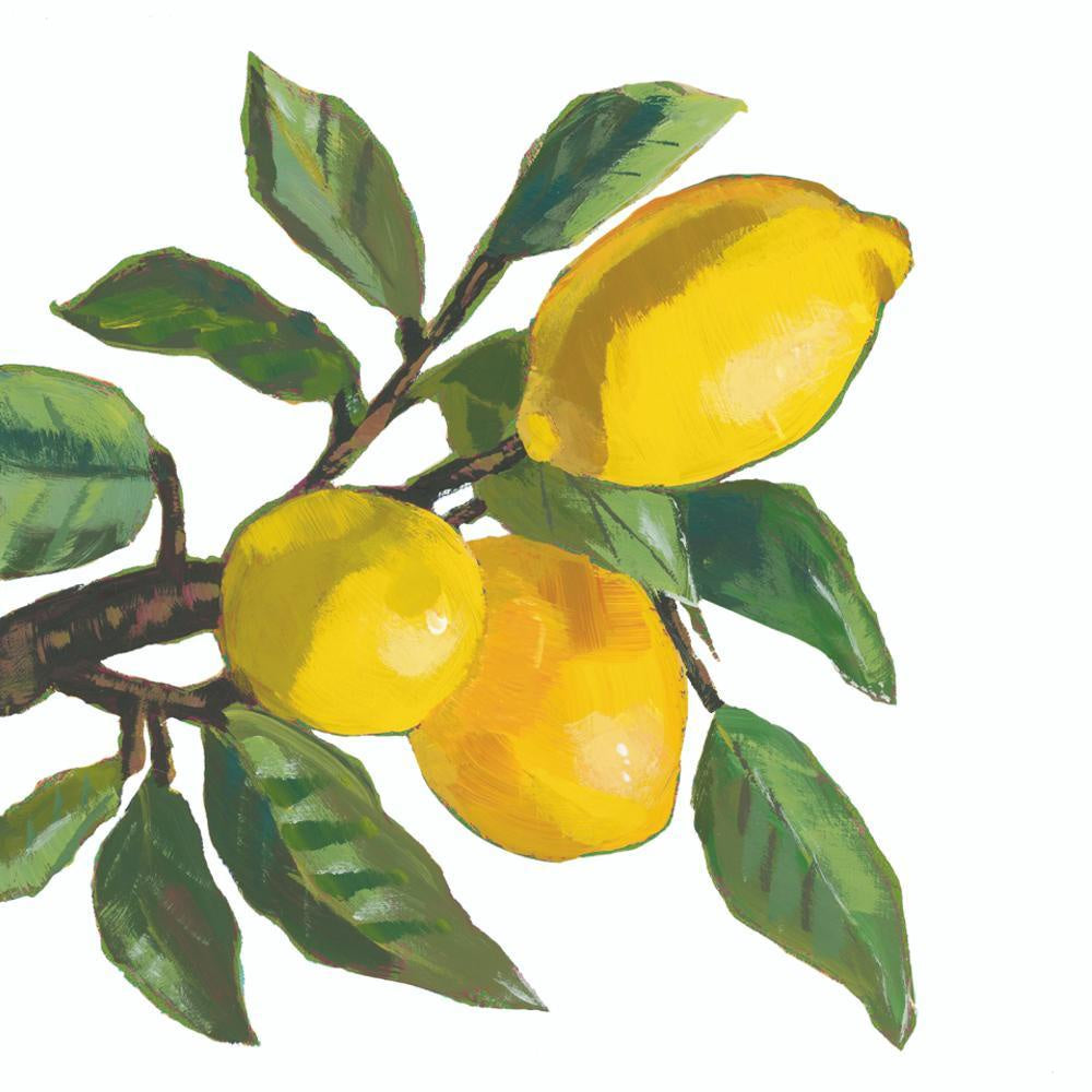 Lemon Musee White Cocktail Napkins