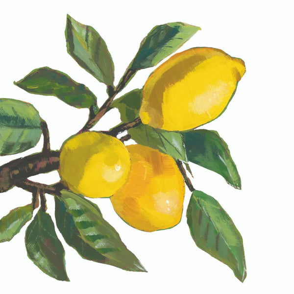 Lemon Musee White Cocktail Napkins
