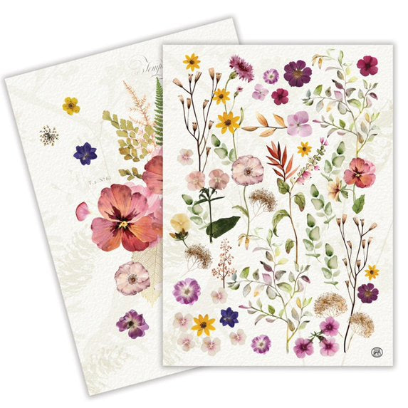 Michel Design Works Kitchen Towel S/2 - Pressed Flowers