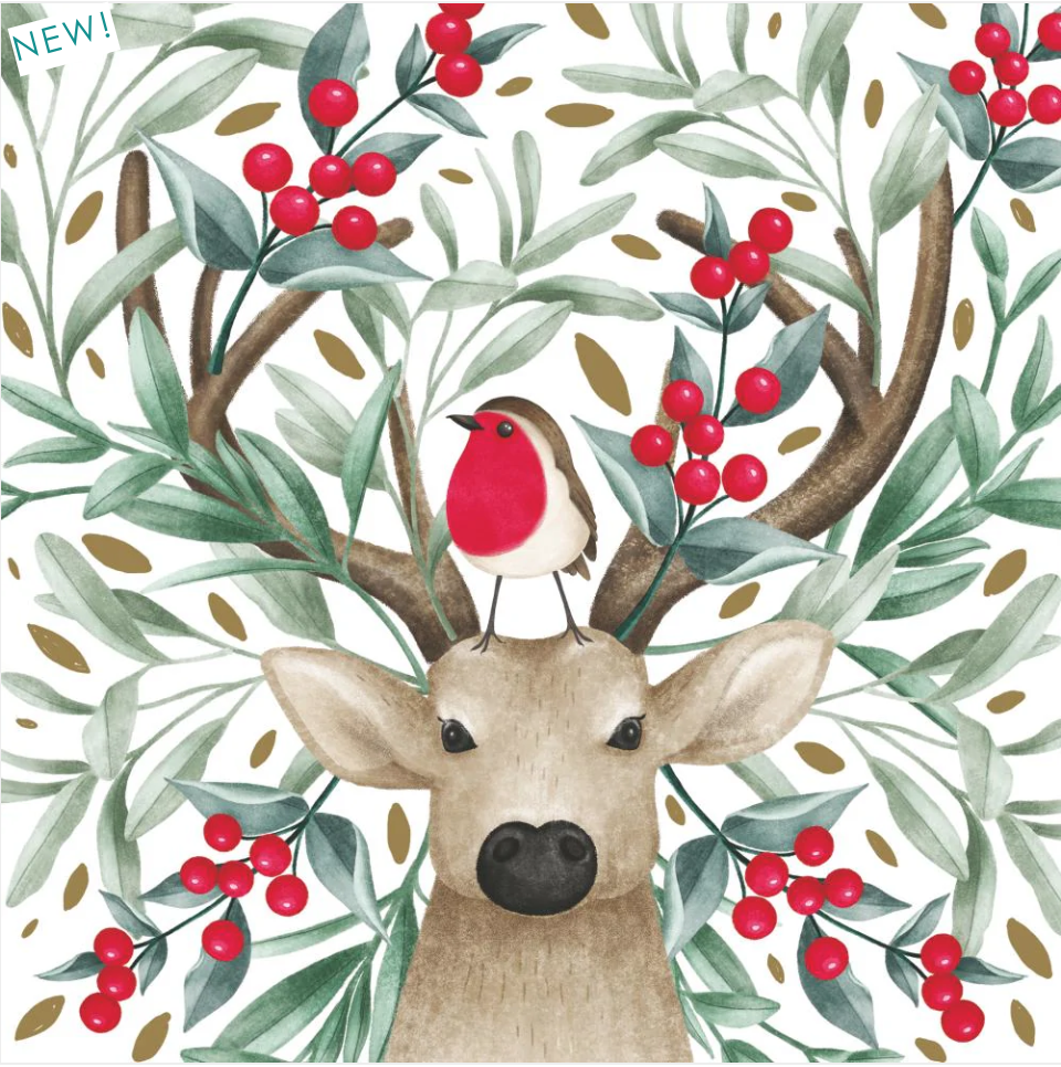 Luncheon Paper Napkins — Soft 3-Ply, Pack of 20 – Bird & Buck