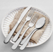 Henckels Lucena 65 Piece Flatware Set