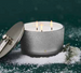 Thymes Frasier Fir Flocked 3 Wick Candle - Britannia Kitchen & Home