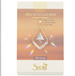 Mini Suncatchers by Scout