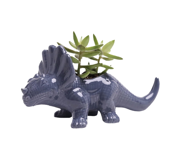 Triceratops Dino Planter - Assorted Colours