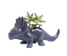 Triceratops Dino Planter - Assorted Colours