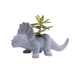 Triceratops Dino Planter - Assorted Colours