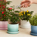 Le Creuset 14cm Herb Planter