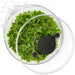 Salad Spinner - Britannia Kitchen & Home