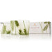 Thymes Frasier Fir Candle Set of 2