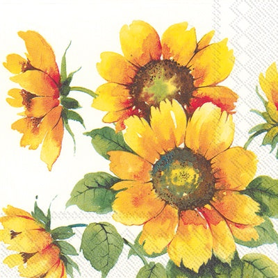 Colourful Sunflowers Cocktail Napkins