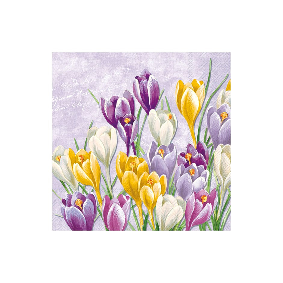 Blooming Crocus Lilac Cocktail Napkins